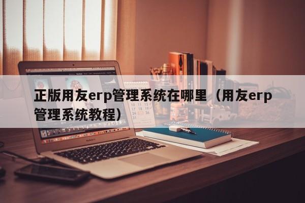 正版用友erp管理系统在哪里（用友erp管理系统教程）