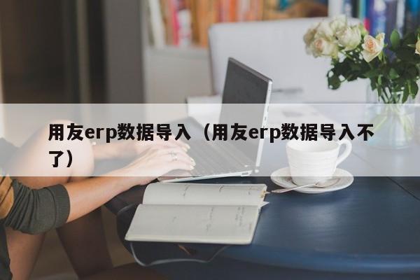 用友erp数据导入（用友erp数据导入不了）