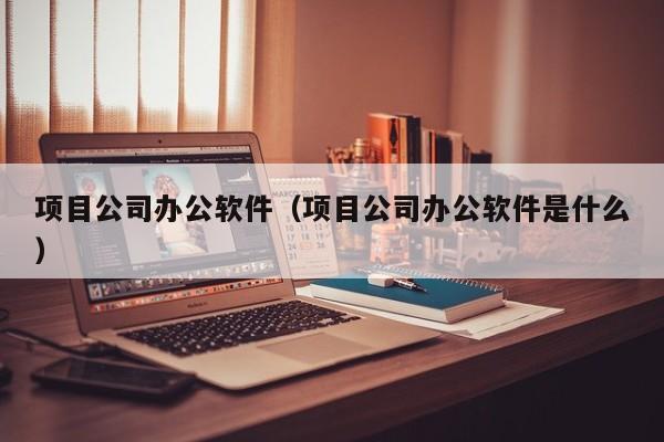 项目公司办公软件（项目公司办公软件是什么）