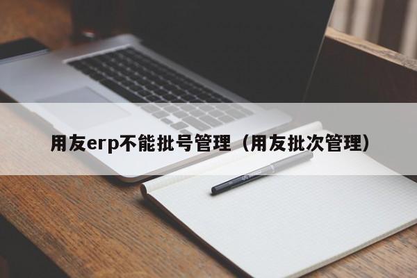 用友erp不能批号管理（用友批次管理）