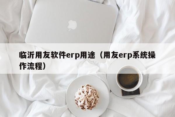 临沂用友软件erp用途（用友erp系统操作流程）