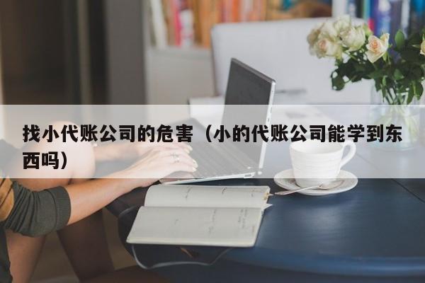 找小代账公司的危害（小的代账公司能学到东西吗）