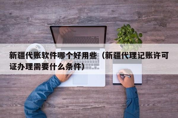 新疆代账软件哪个好用些（新疆代理记账许可证办理需要什么条件）