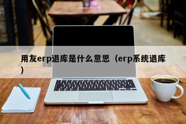 用友erp退库是什么意思（erp系统退库）