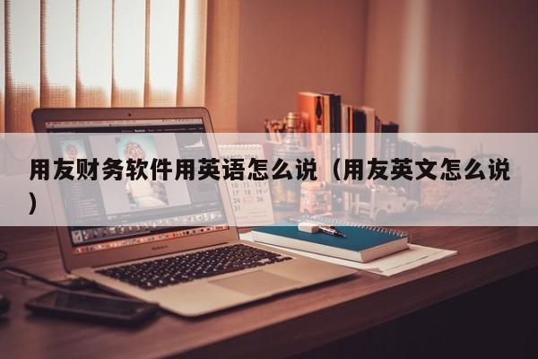 用友财务软件用英语怎么说（用友英文怎么说）