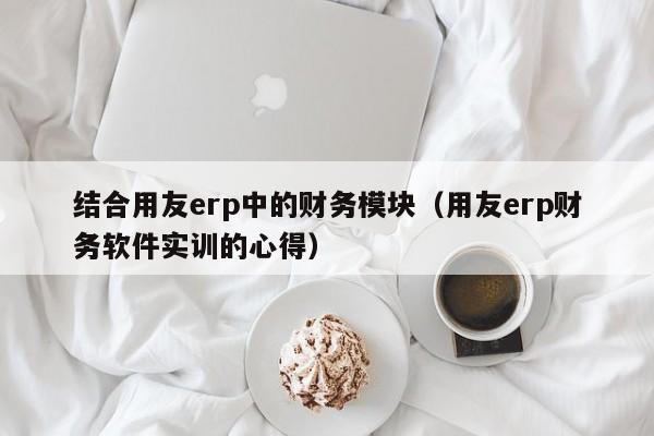 结合用友erp中的财务模块（用友erp财务软件实训的心得）