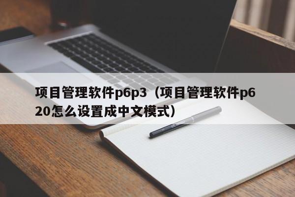 项目管理软件p6p3（项目管理软件p6 20怎么设置成中文模式）