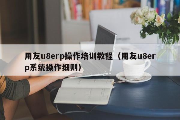 用友u8erp操作培训教程（用友u8erp系统操作细则）