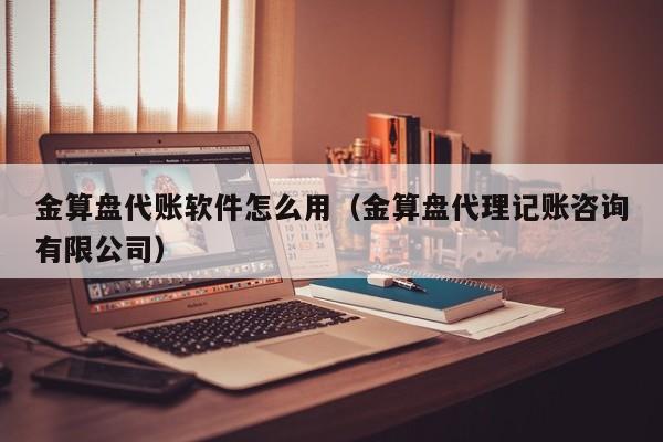 金算盘代账软件怎么用（金算盘代理记账咨询有限公司）