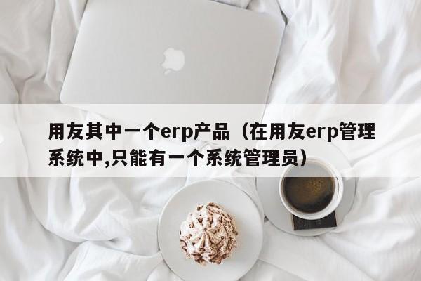 用友其中一个erp产品（在用友erp管理系统中,只能有一个系统管理员）