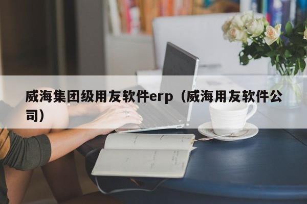 威海集团级用友软件erp（威海用友软件公司）