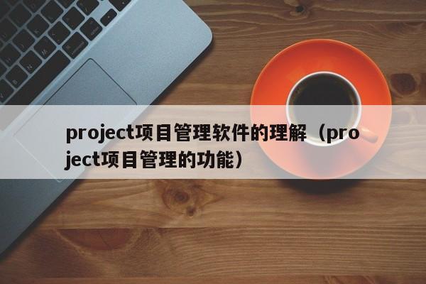 project项目管理软件的理解（project项目管理的功能）