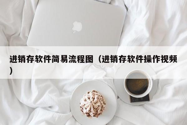 进销存软件简易流程图（进销存软件操作视频）