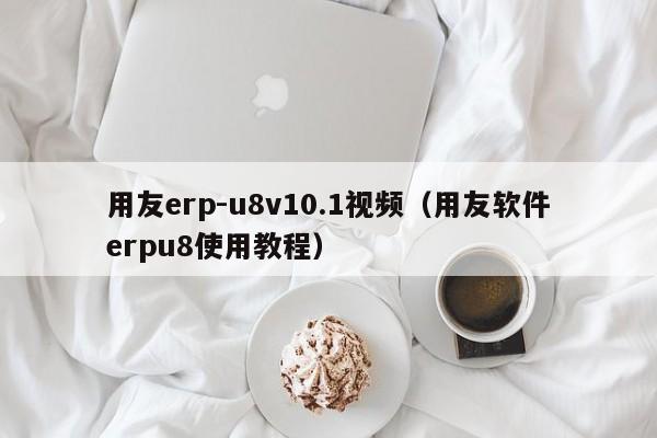 用友erp-u8v10.1视频（用友软件erpu8使用教程）