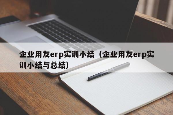 企业用友erp实训小结（企业用友erp实训小结与总结）