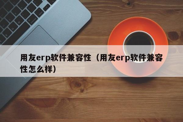 用友erp软件兼容性（用友erp软件兼容性怎么样）