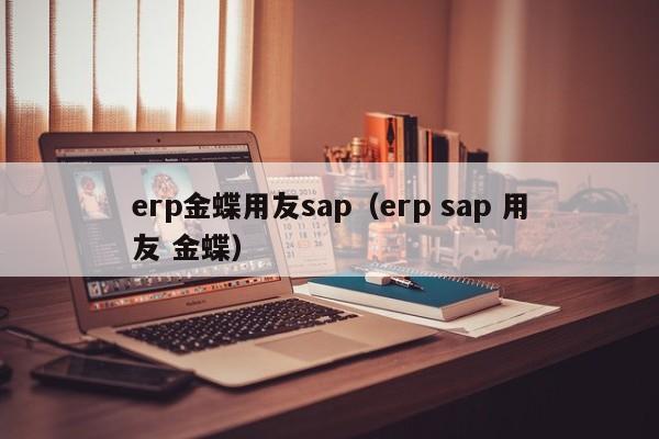 erp金蝶用友sap（erp sap 用友 金蝶）