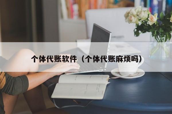 个体代账软件（个体代账麻烦吗）