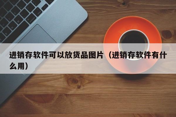 进销存软件可以放货品图片（进销存软件有什么用）