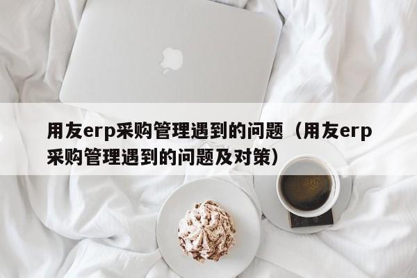 用友erp采购管理遇到的问题（用友erp采购管理遇到的问题及对策）