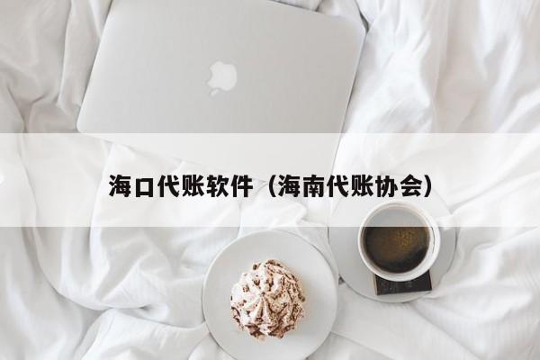 海口代账软件（海南代账协会）