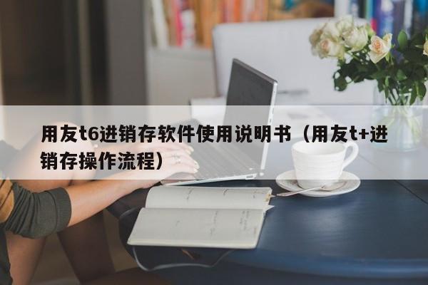 用友t6进销存软件使用说明书（用友t+进销存操作流程）