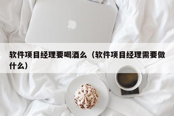 软件项目经理要喝酒么（软件项目经理需要做什么）