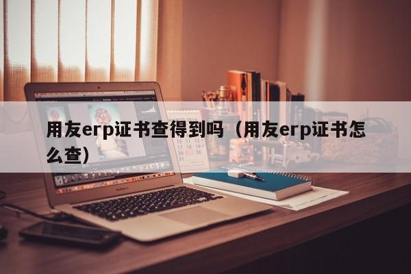 用友erp证书查得到吗（用友erp证书怎么查）