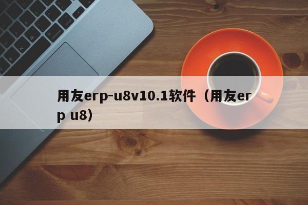 用友erp-u8v10.1软件（用友erp u8）