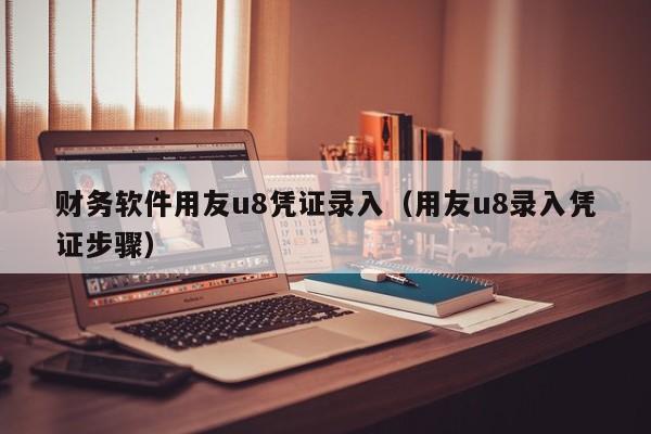 财务软件用友u8凭证录入（用友u8录入凭证步骤）