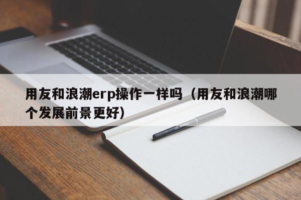 用友和浪潮erp操作一样吗（用友和浪潮哪个发展前景更好）