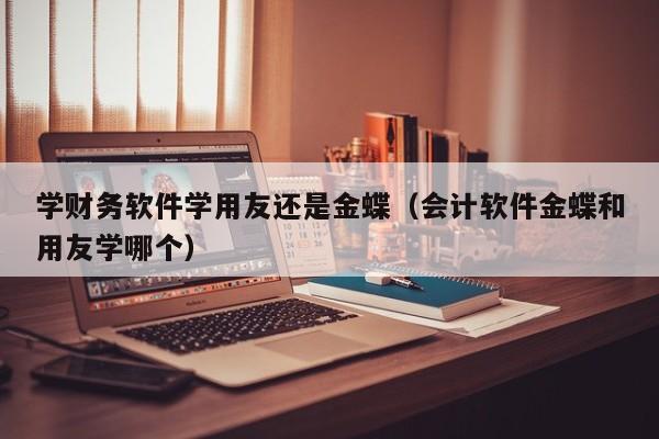 学财务软件学用友还是金蝶（会计软件金蝶和用友学哪个）