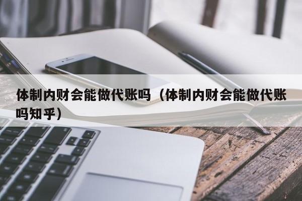 体制内财会能做代账吗（体制内财会能做代账吗知乎）