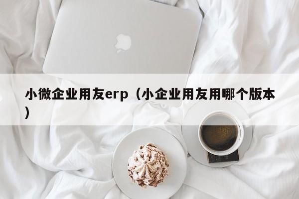 小微企业用友erp（小企业用友用哪个版本）