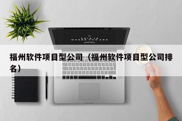 福州软件项目型公司（福州软件项目型公司排名）