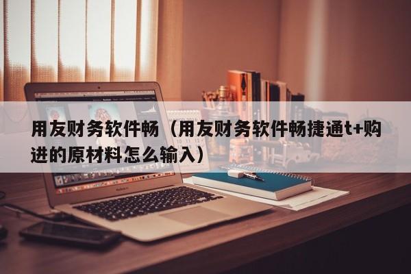 用友财务软件畅（用友财务软件畅捷通t+购进的原材料怎么输入）