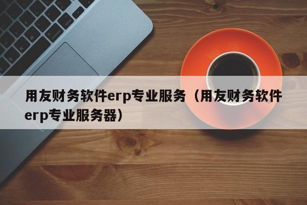 用友财务软件erp专业服务（用友财务软件erp专业服务器）