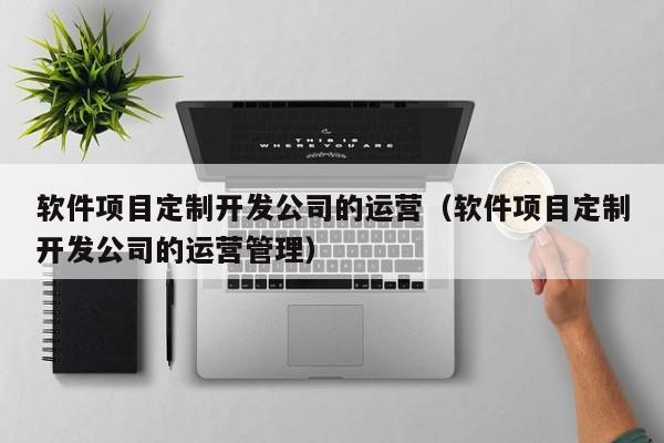 软件项目定制开发公司的运营（软件项目定制开发公司的运营管理）