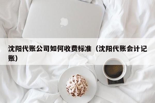 沈阳代账公司如何收费标准（沈阳代账会计记账）