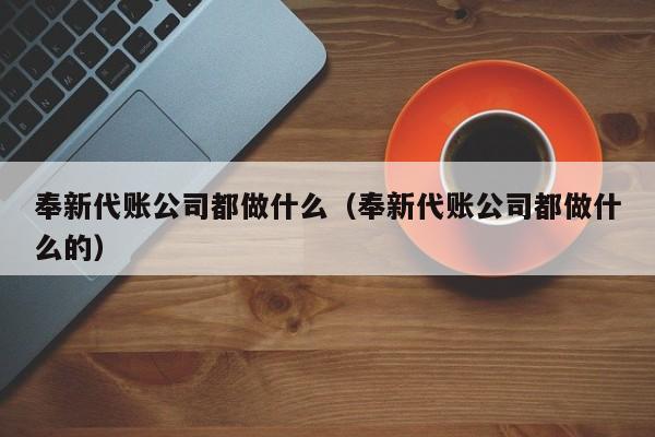 奉新代账公司都做什么（奉新代账公司都做什么的）