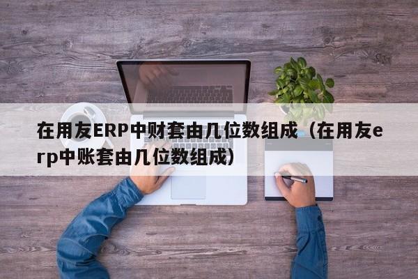 在用友ERP中财套由几位数组成（在用友erp中账套由几位数组成）