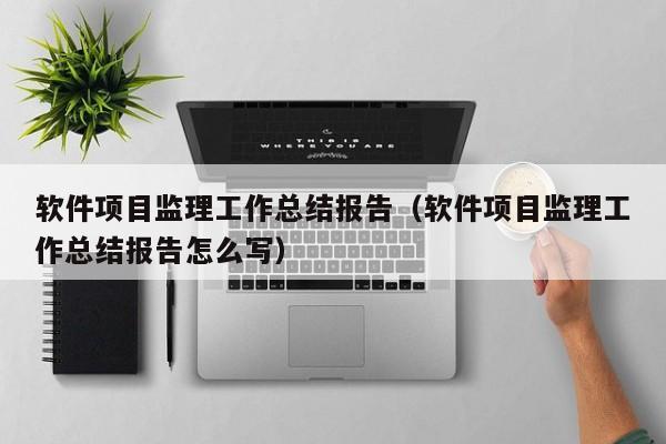 软件项目监理工作总结报告（软件项目监理工作总结报告怎么写）