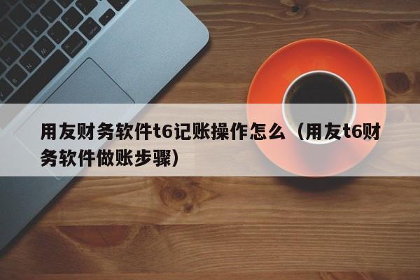 用友财务软件t6记账操作怎么（用友t6财务软件做账步骤）