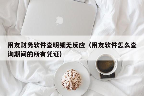 用友财务软件查明细无反应（用友软件怎么查询期间的所有凭证）