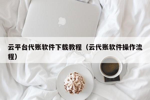 云平台代账软件下载教程（云代账软件操作流程）