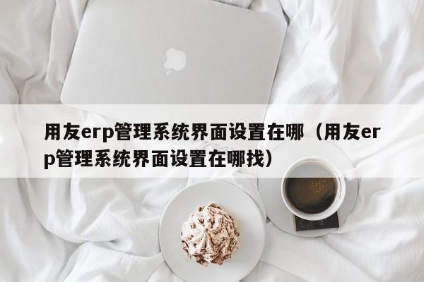 用友erp管理系统界面设置在哪（用友erp管理系统界面设置在哪找）