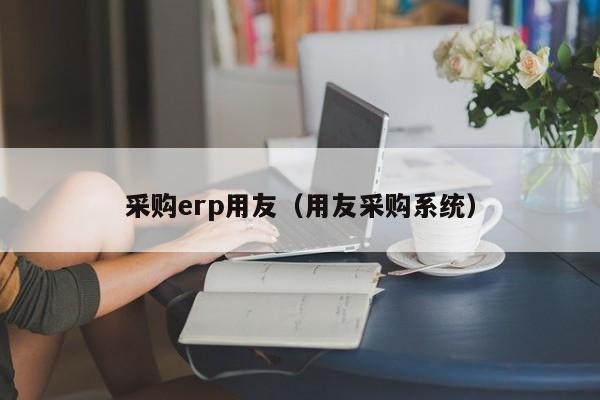 采购erp用友（用友采购系统）