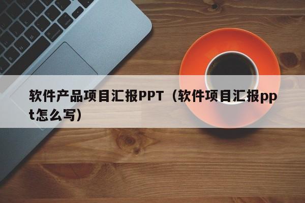 软件产品项目汇报PPT（软件项目汇报ppt怎么写）