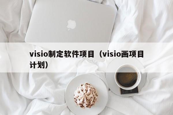 visio制定软件项目（visio画项目计划）