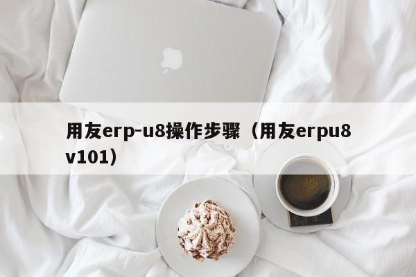 用友erp-u8操作步骤（用友erpu8v101）